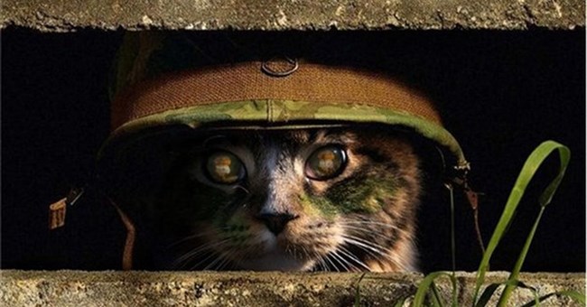 Tổng hợp tin "hot" tuần 4/04