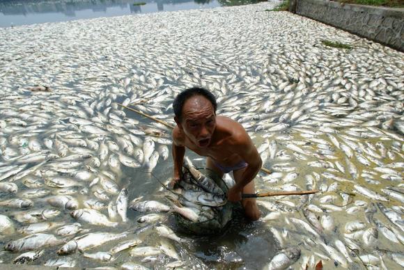 Chùm ảnh sốc về ô nhiễm môi trường