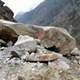 Nguy cơ lũ quét và sạt lở rình rập Nepal