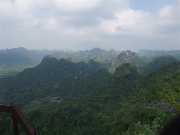 Phòng chống cháy rừng từ vệ tinh