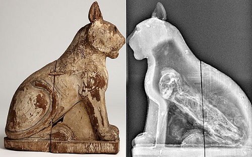 Nhiều xác ướp động vật thời Ai Cập cổ là đồ giả