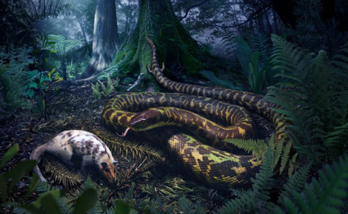 Những con rắn đầu tiên trên thế giới có thể từng có chân
