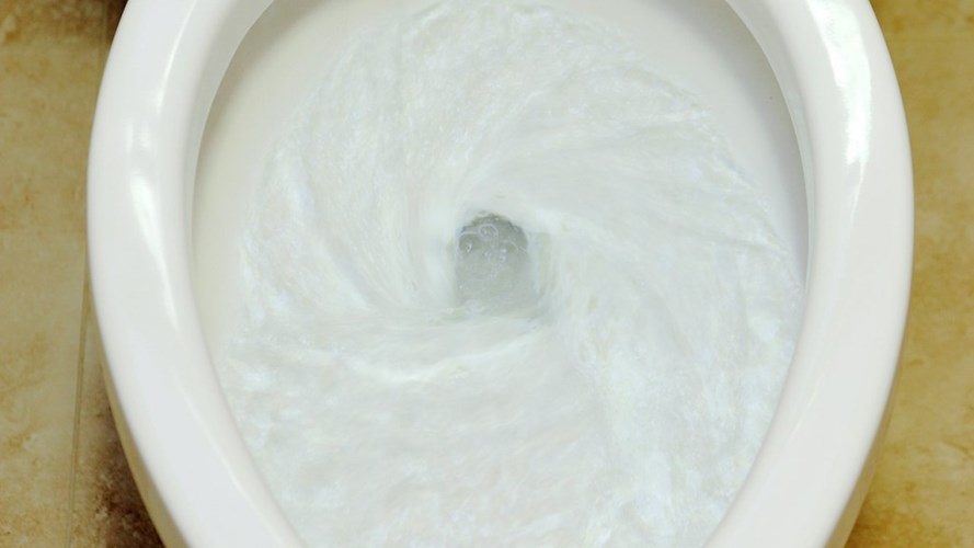 Tìm hiểu những sự thật giật mình về toilet khiến ai cũng bất ngờ
