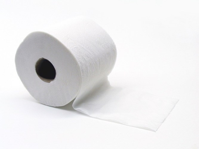 Tìm hiểu những sự thật giật mình về toilet khiến ai cũng bất ngờ