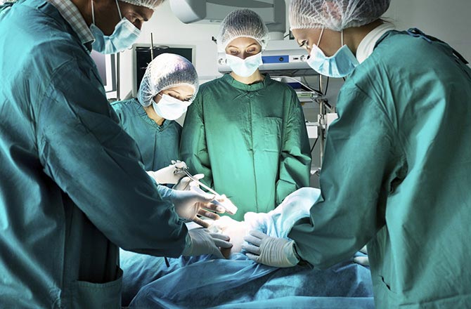 Điều gì xảy ra khi bạn hiến tặng cơ thể mình cho khoa học sau khi qua đời?