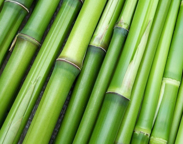 Khám phá bùa may mắn ở các nước trên thế giới