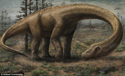 Khủng long Dreadnoughtus cổ dài chỉ nặng 40 tấn