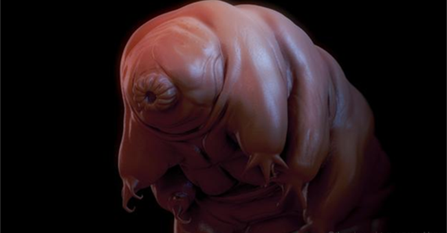 Khả năng bất diệt của sinh vật có từ 500 triệu năm trước