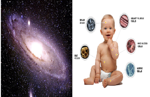 So sánh lượng tế bào cơ thể người và thiên hà trong vũ trụ