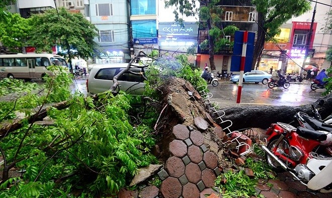 Hà Nội đề phòng mưa dông, gió giật mạnh do ảnh hưởng của bão số 1