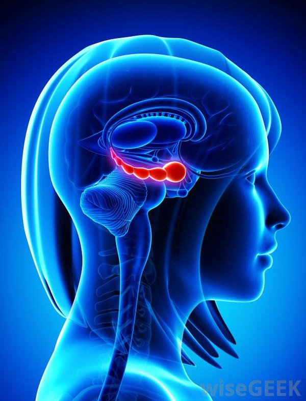 Lý giải sức hút của các bộ phim nghìn tập dài lê thê