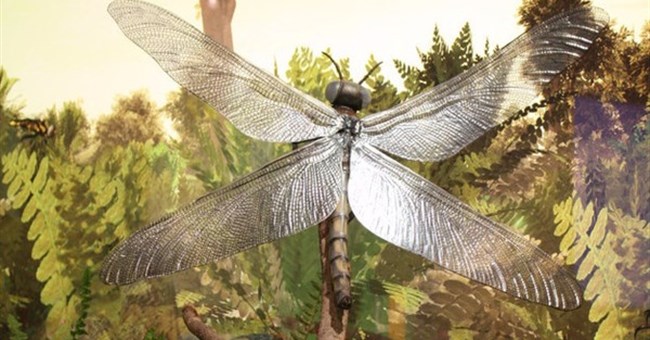 Những sự thật khoa học nghe hư cấu nhưng lại có thật