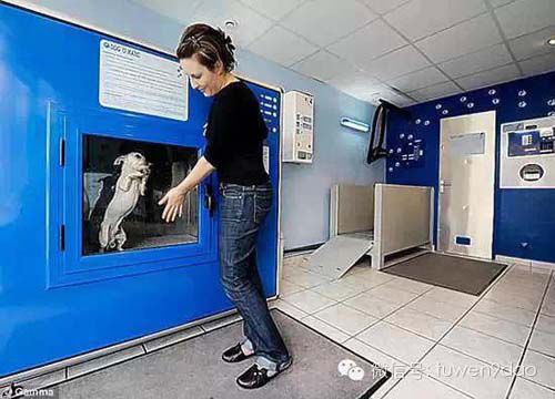 9 phát minh kỳ quặc trên khắp thế giới