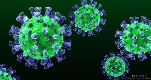 Mỹ tìm ra kháng thể chống lại virus MERS