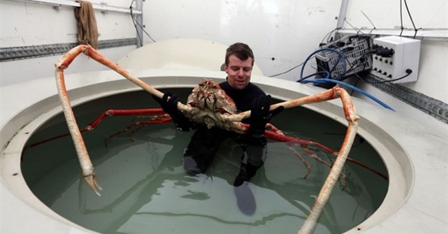 Lý giải nguyên nhân xuất hiệt các sinh vật khổng lồ đáng sợ dưới biển