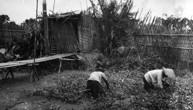 Chùm ảnh đẹp quyến rũ về Hà Nội năm 1939