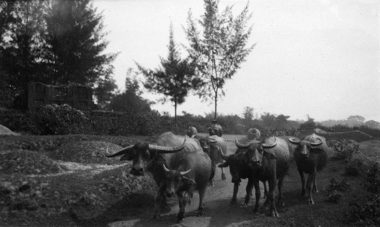 Chùm ảnh đẹp quyến rũ về Hà Nội năm 1939