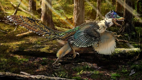 Phát hiện hóa thạch khủng long có cánh lớn nhất thế giới