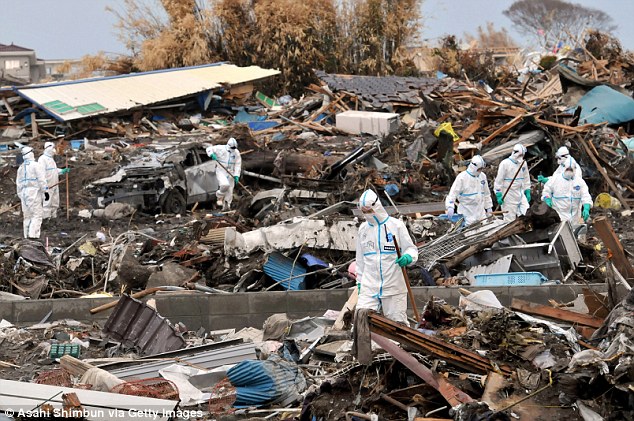 Thực vật bị đột biến gen vì phóng xạ gần Fukushima