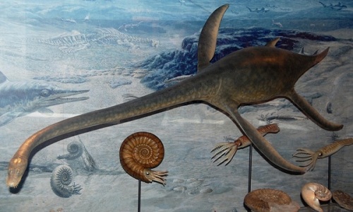 Hóa thạch loài xà đầu long 70 triệu năm tuổi giống quái vật hồ Loch Ness