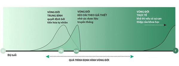 Con người có thể sống lâu hơn tới 10 lần?