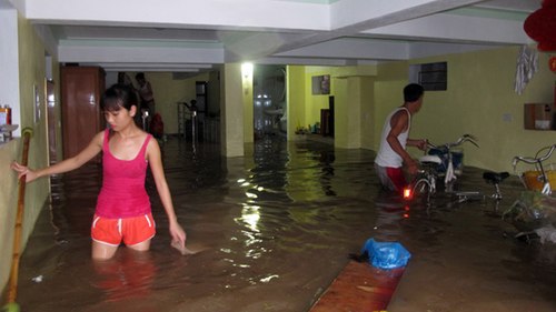 Hướng dẫn cách ứng phó khi lũ lụt