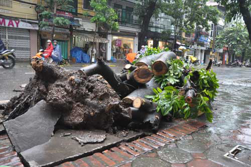 Hướng dẫn cách ứng phó khi lũ lụt