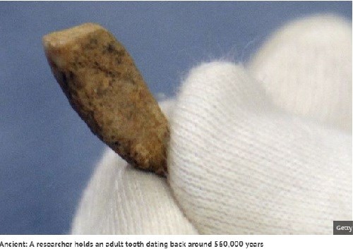 Phát hiện răng người 550.000 năm tuổi ở Pháp