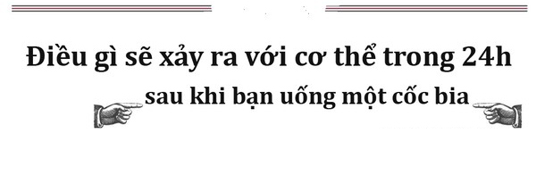 Cơ thể bạn biến đối như thế nào sau khi uống bia?