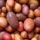 Chế độ ăn nhiều tinh bột đã giúp não lớn hơn?