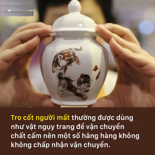 5 thứ bạn 