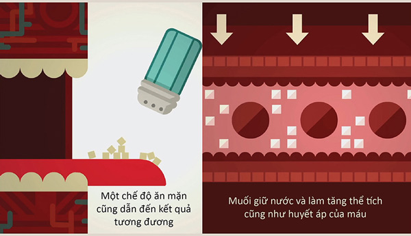 Huyết áp hoạt động như thế nào?