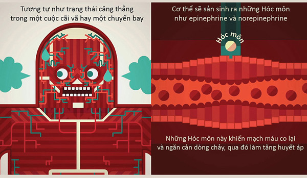 Huyết áp hoạt động như thế nào?