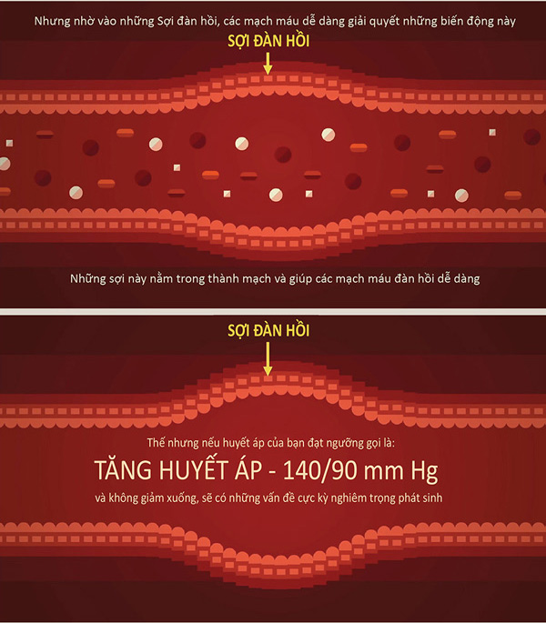 Huyết áp hoạt động như thế nào?