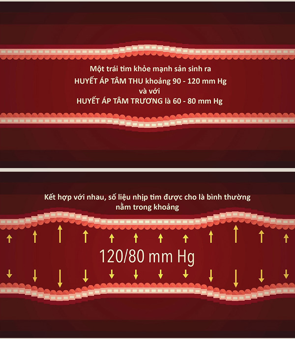 Huyết áp hoạt động như thế nào?