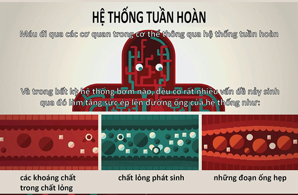 Huyết áp hoạt động như thế nào?