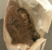 Phát hiện xác ướp Ai Cập mắc bệnh tim mãn tính cổ nhất thế giới
