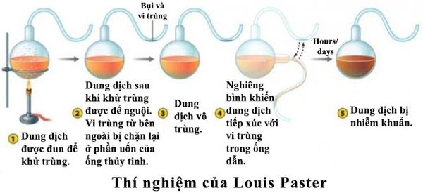 Những học thuyết khoa học sai lầm trong lịch sử loài người