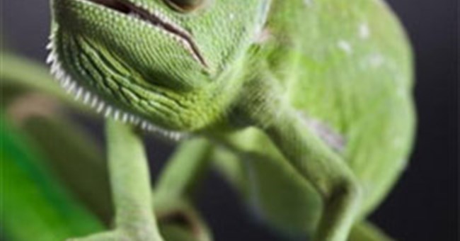 Những kiến thức cơ bản sai bét mà nhiều người vẫn tin sái cổ