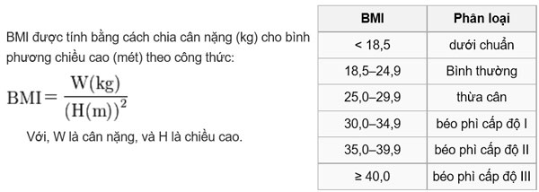 Các nhà khoa học sắp tìm ra cách chữa bệnh béo phì