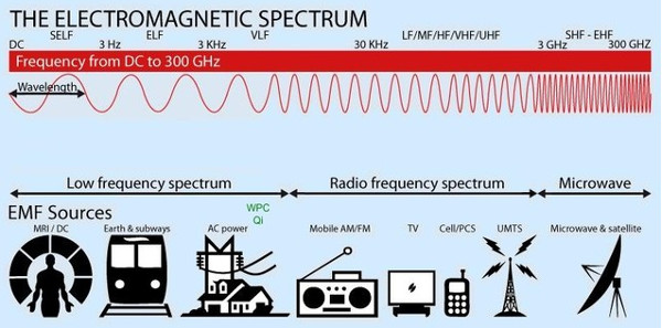 Wi-Fi có thể khiến bạn dị ứng hay không?