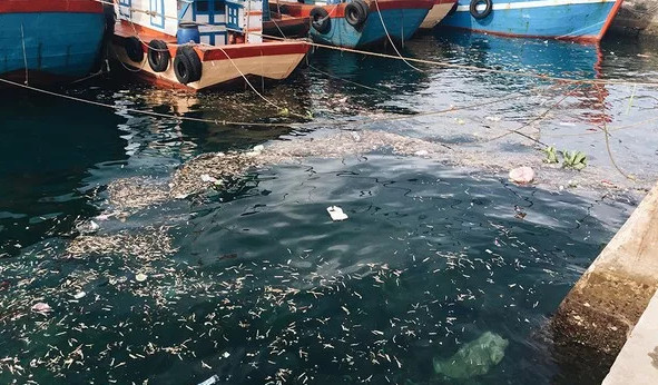 Những hình ảnh gây sốc khó tin về rác thải ở Lý Sơn