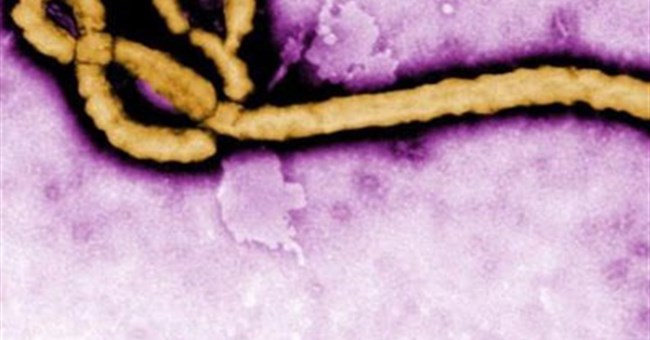 Thế giới bất lực trước dịch Ebola vì... sex
