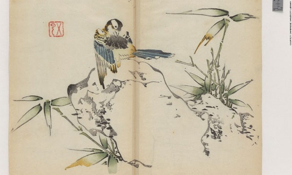 Cổ thư in màu vẹn nguyên kỳ lạ suốt 300 năm
