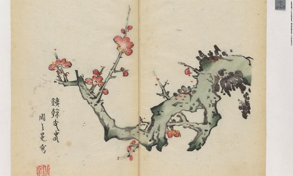 Cổ thư in màu vẹn nguyên kỳ lạ suốt 300 năm
