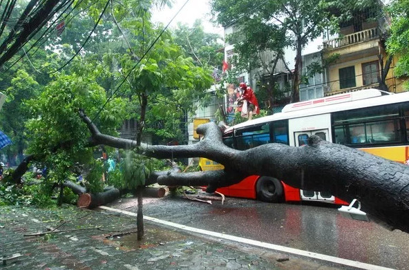 Những việc 