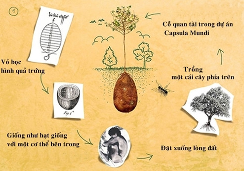 Người chết hóa thân trong cây xanh nhờ quan tài trứng