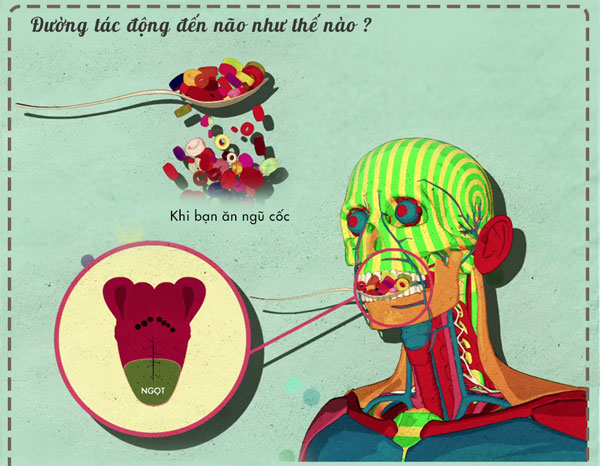 Đường tác động đến não bộ như thế nào?