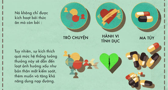 Đường tác động đến não bộ như thế nào?