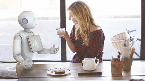Nhà sản xuất cấm khách hàng ân ái với robot
